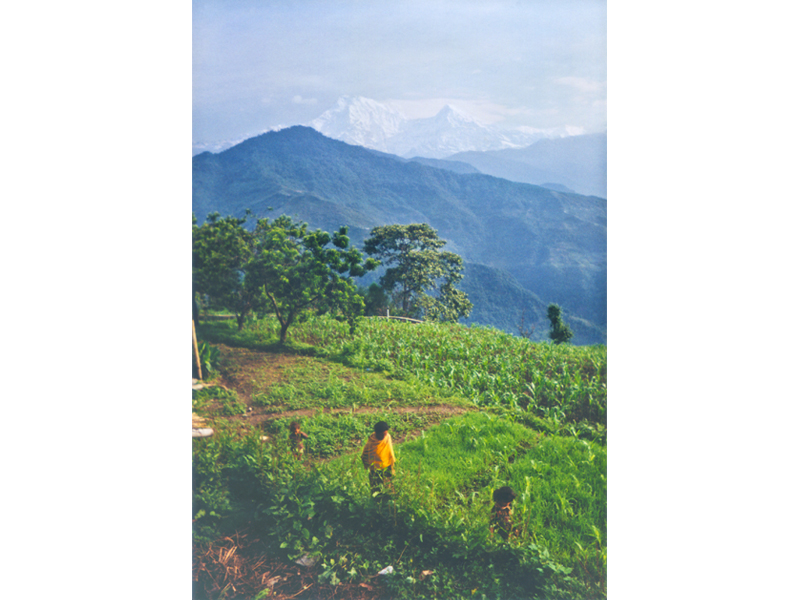 画像16の代替テキスト