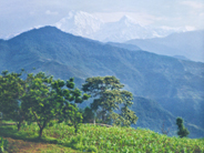 画像16の代替テキスト