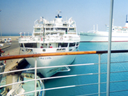 画像01の代替テキスト