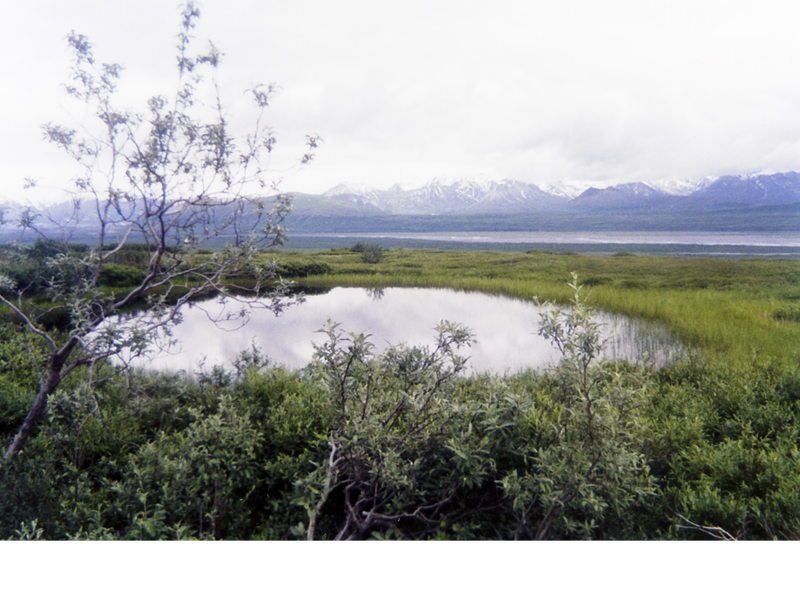 画像02の代替テキスト