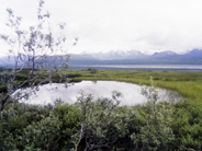 画像02の代替テキスト