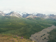 画像05の代替テキスト