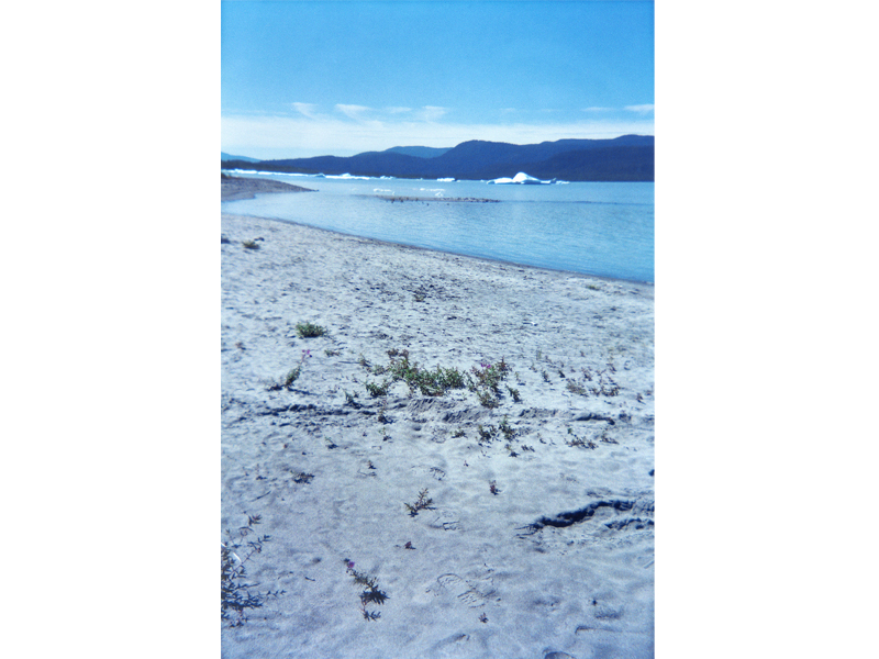 画像07の代替テキスト