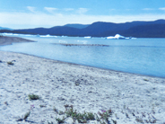 画像07の代替テキスト