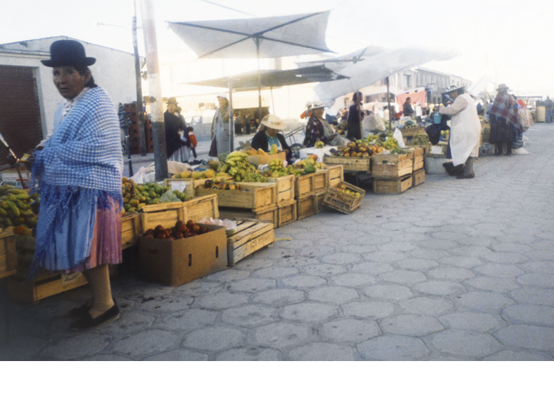 画像11の代替テキスト