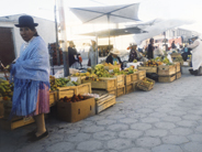 画像11の代替テキスト