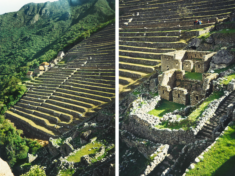 画像14の代替テキスト