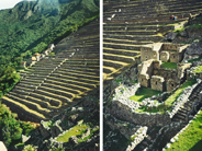 画像14の代替テキスト